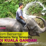 Jalan-Jalan Ke Kuala Gandah, Tengok Gajah!