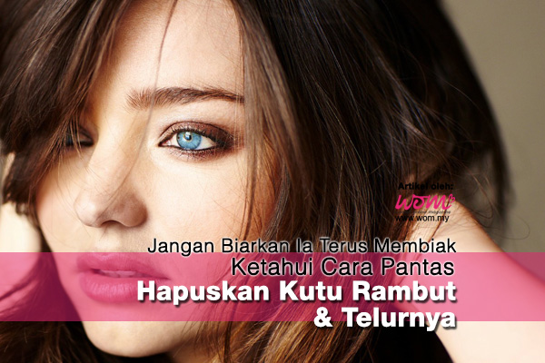 Kutu Rambut - women online magazine