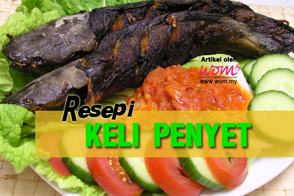 Resepi Ikan Keli - women online magazine
