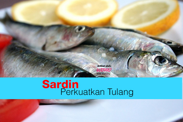 ikan sardin - women online magazine