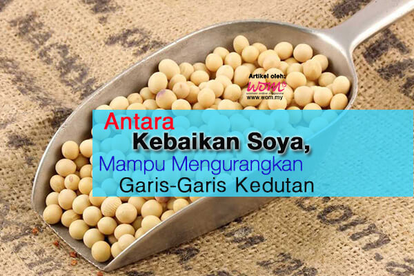 kebaikan soya - women online magazine