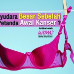 Payudara Besar Sebelah Petanda Awal Kanser?