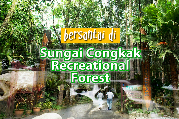 sungai congkak recreational forest - women online magazine