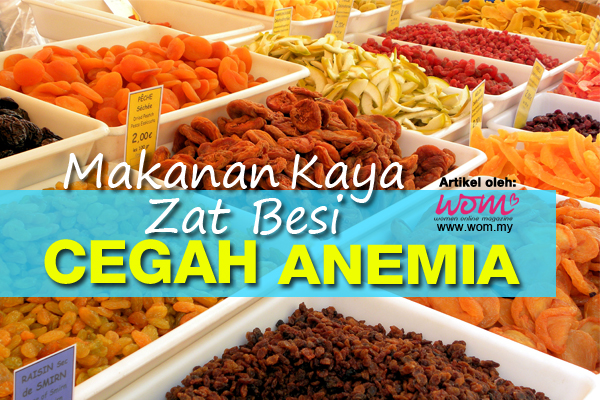 Makanan Zat Besi - women online magazine