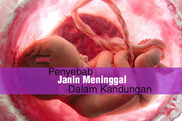 Janin Dalam Kandungan  Women Online Magazine