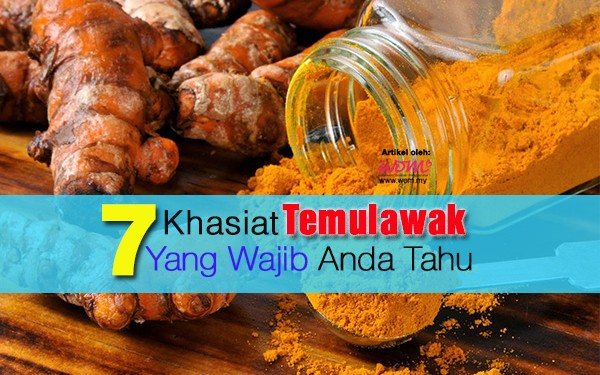 khasiat temulawak - women online magazine